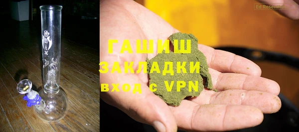 гидра Бородино