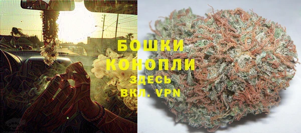 гидра Бородино