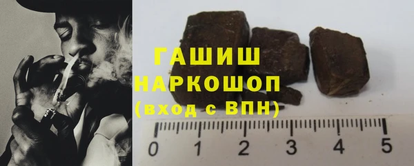 гидра Бородино